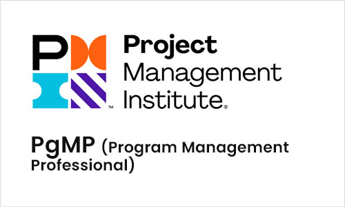 Program Management Professional